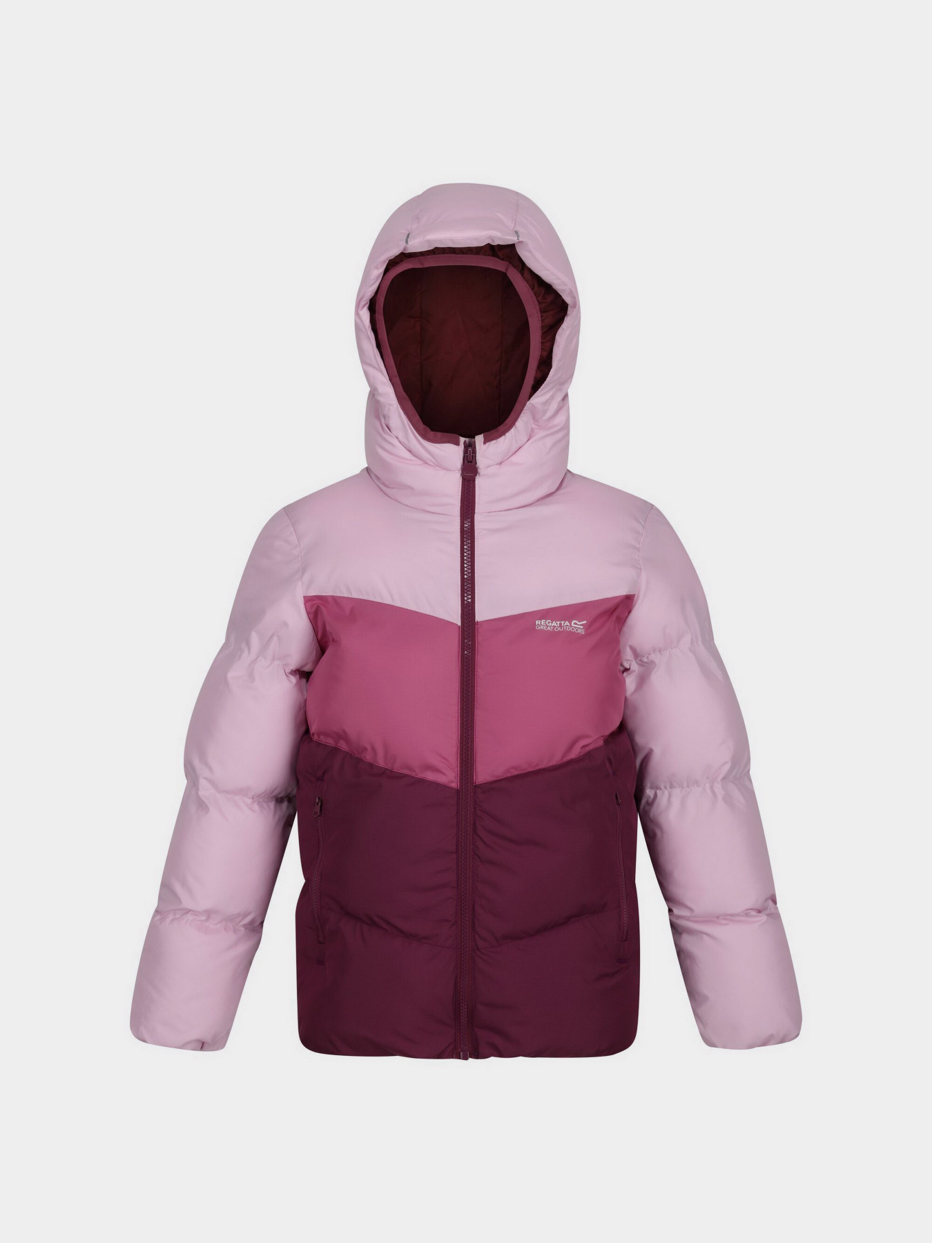 Куртки та дублянки Regatta модель RKN131-T5C Фото