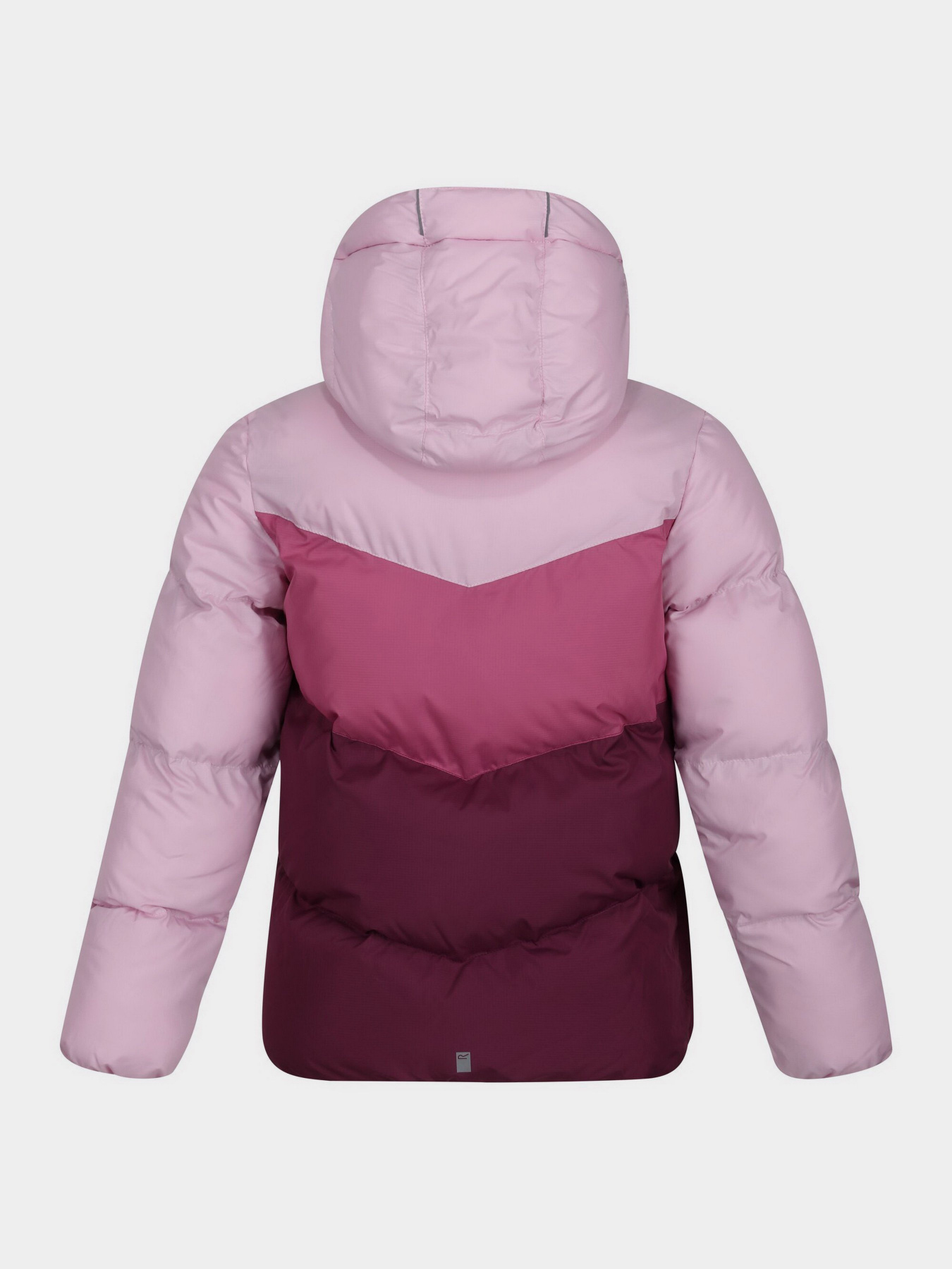 Куртки та дублянки Regatta модель RKN131-T5C Фото