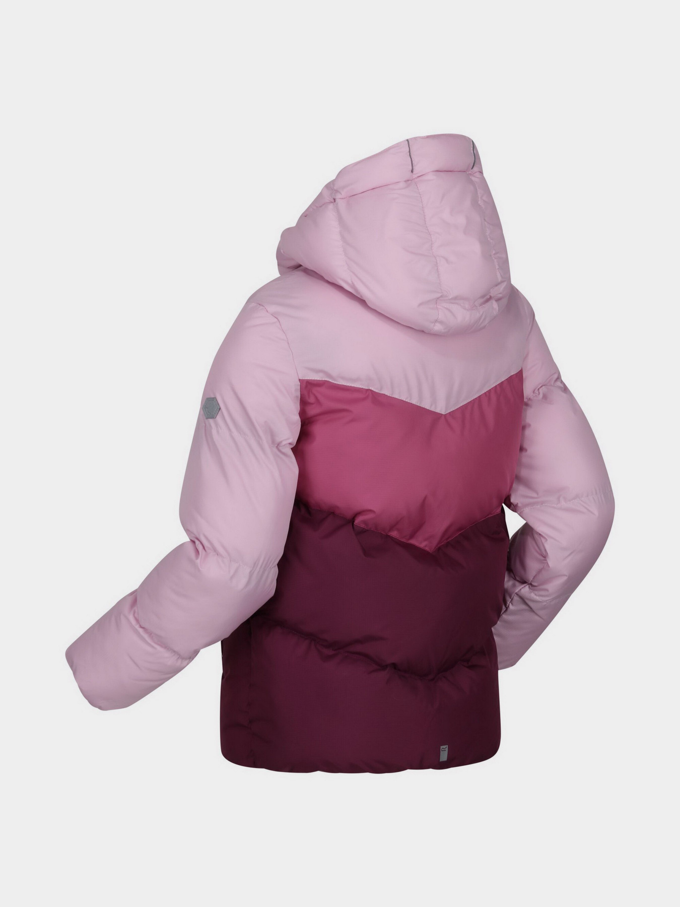 Куртки та дублянки Regatta модель RKN131-T5C Фото