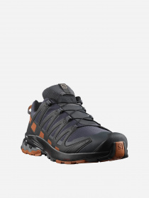 Кросівки SALOMON XA PRO 3D v8 GTX модель L40989200 Фото