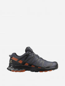 Кросівки SALOMON XA PRO 3D v8 GTX модель L40989200 Фото