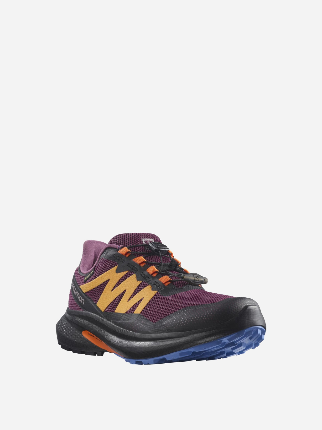 Кросівки SALOMON Hypulse GTX модель L41596500 Фото