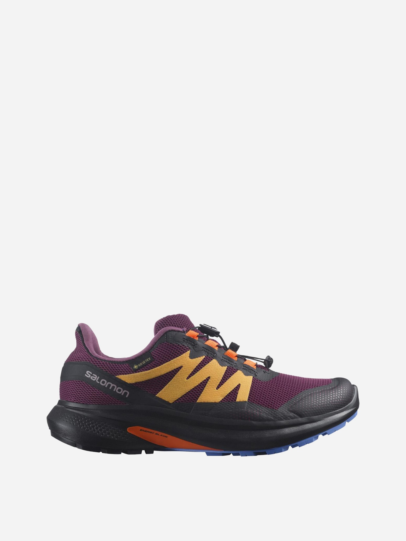Кросівки SALOMON Hypulse GTX модель L41596500 Фото