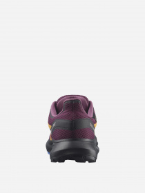 Кросівки SALOMON Hypulse GTX модель L41596500 Фото