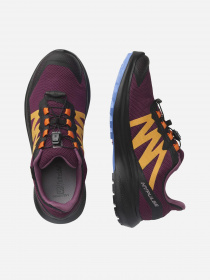Кросівки SALOMON Hypulse GTX модель L41596500 Фото