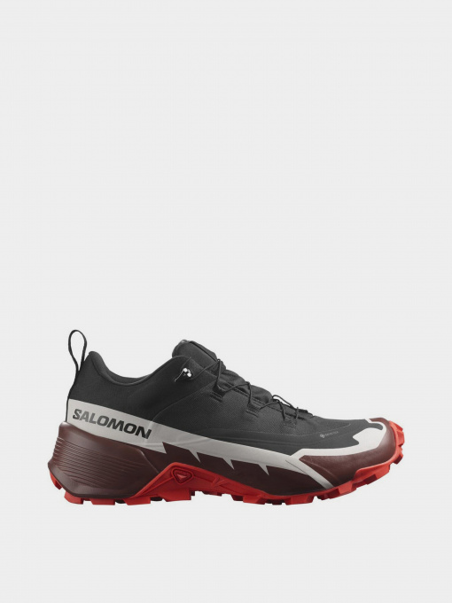 Кросівки SALOMON HIKE GTX 2 модель L41730200 Фото