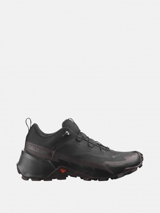 Кросівки SALOMON  HIKE GTX 2 W модель L41730500 Фото