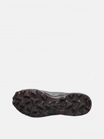 Кроссовки SALOMON HIKE GTX 2 W модель L41730500 Фото