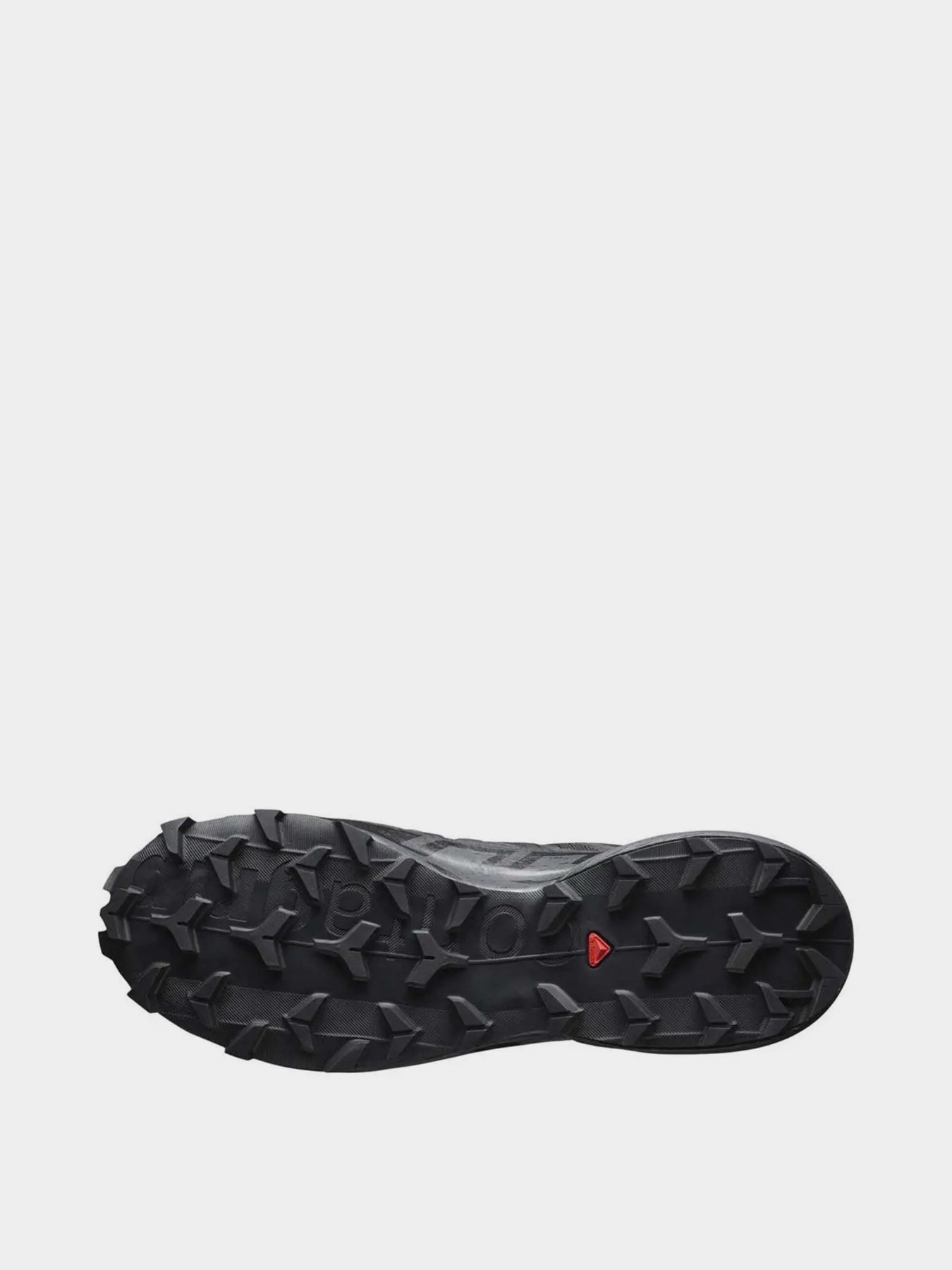 Кроссовки SALOMON Speedcross 6 GTX модель L41738600 Кроссовки SALOMON Speedcross 6 GTX модель L41738600 Фото