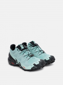 Кросівки SALOMON Speedcross 6 GTX модель L41743500 Фото