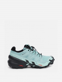 Кросівки SALOMON Speedcross 6 GTX модель L41743500 Фото