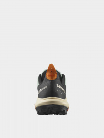 Кросівки SALOMON Outdoor Ayakkabı модель L41585100 Фото