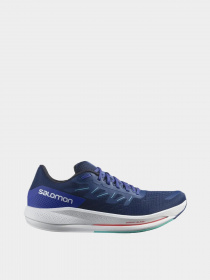 Кроссовки SALOMON Spectur модель L41589900 Фото
