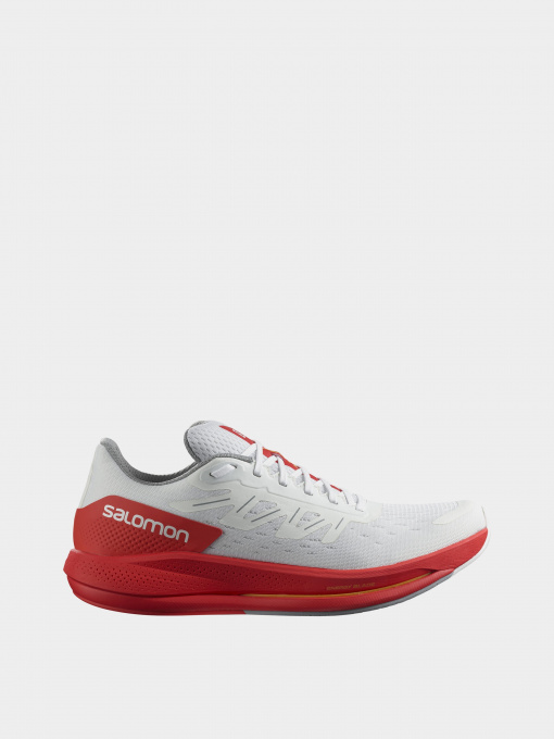 Кросівки SALOMON Spectur модель L41749000 Фото