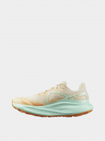 Кросівки SALOMON Glide Max TR модель L47120300 Фото