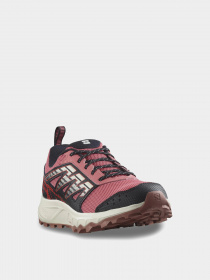 Кросівки SALOMON Wander GTX модель L47153400 Фото