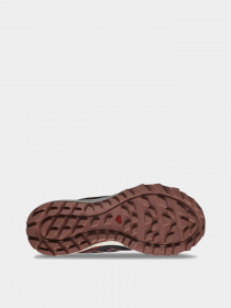 Кросівки SALOMON Wander GTX модель L47153400 Фото