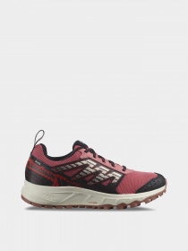 Кроссовки SALOMON Wander GTX модель L47153400 Фото
