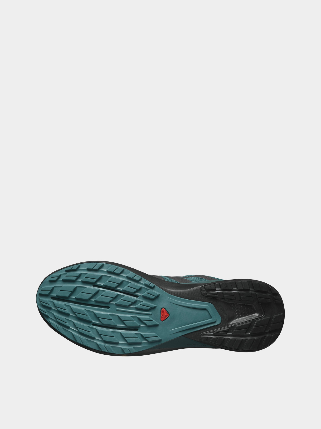 Кросівки SALOMON Hypulse модель L47205500 Фото