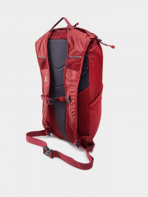 Рюкзаки SALOMON TRAILBLAZER 10 модель LC1520100 Фото