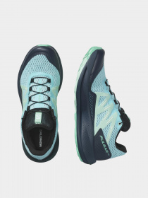 Кросівки SALOMON Salomon Pulsar Trail 2 модель L47210400 Фото