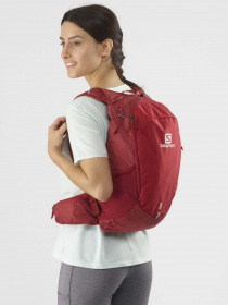 Рюкзаки SALOMON Trailblazer 20 модель LC1520300 Фото