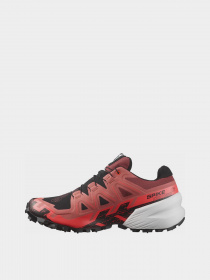 Кроссовки SALOMON Trail Running Spikecross 6 Gtx модель L47270700 Фото
