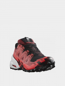 Кроссовки SALOMON Trail Running Spikecross 6 Gtx модель L47270700 Фото
