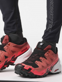 Кроссовки SALOMON Trail Running Spikecross 6 Gtx модель L47270700 Фото