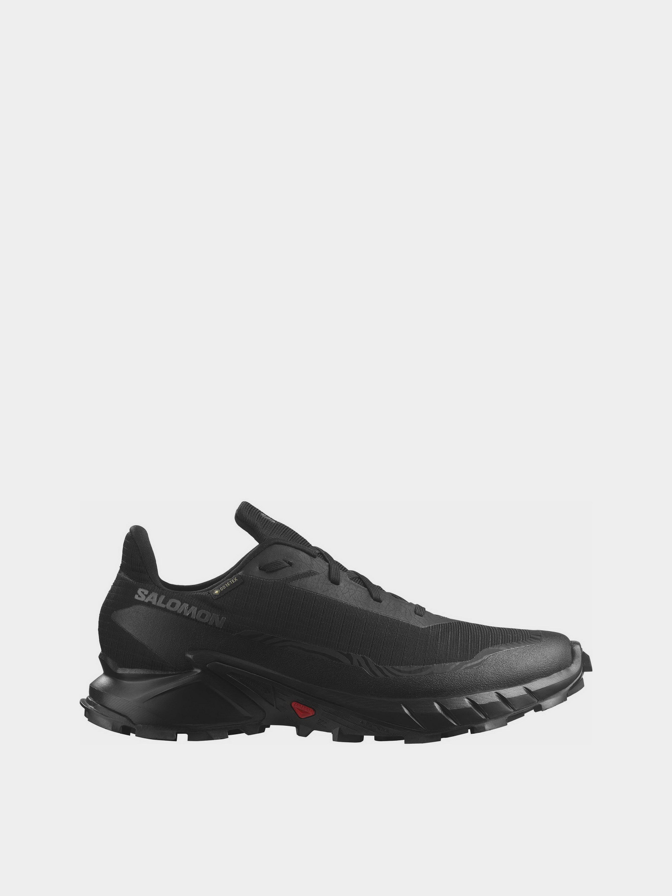 Кроссовки SALOMON Alphacross 5 GTX модель L47307500 Кроссовки SALOMON Alphacross 5 GTX модель L47307500 Фото