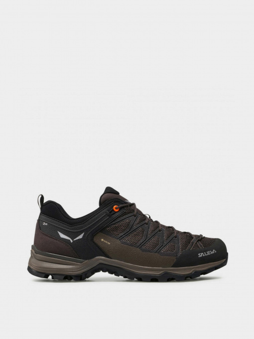 Кроссовки Salewa MTN Trainer Lite GTX модель 61361 7512 Фото
