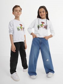 Худи и свитшоты INTERTOP модель 12019-3 Фото