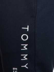 Штани Tommy Hilfiger модель KB0KB05753-C87 Фото