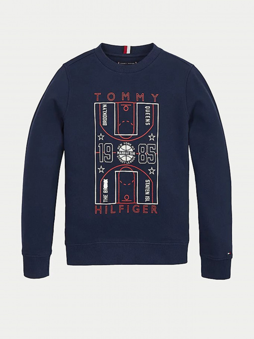 Худі та світшоти Tommy Hilfiger модель KB0KB06346-C87 Фото
