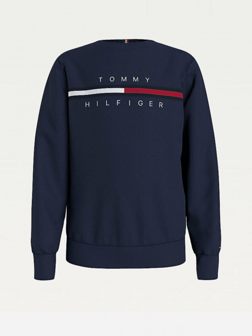 Худі та світшоти Tommy Hilfiger модель KB0KB06568-C87 Фото