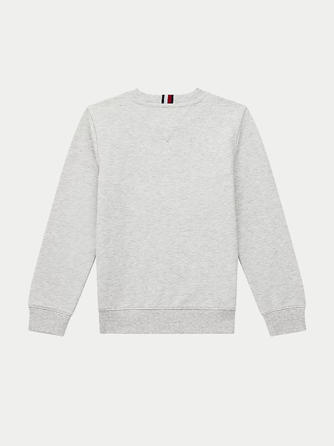 Худі та світшоти Tommy Hilfiger модель KB0KB06568-PZ1 Фото