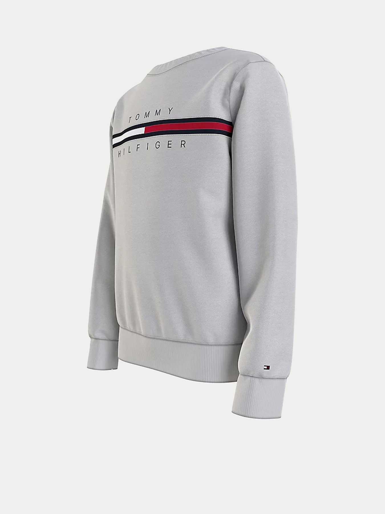 Худі та світшоти Tommy Hilfiger модель KB0KB06568-PZ1 Фото