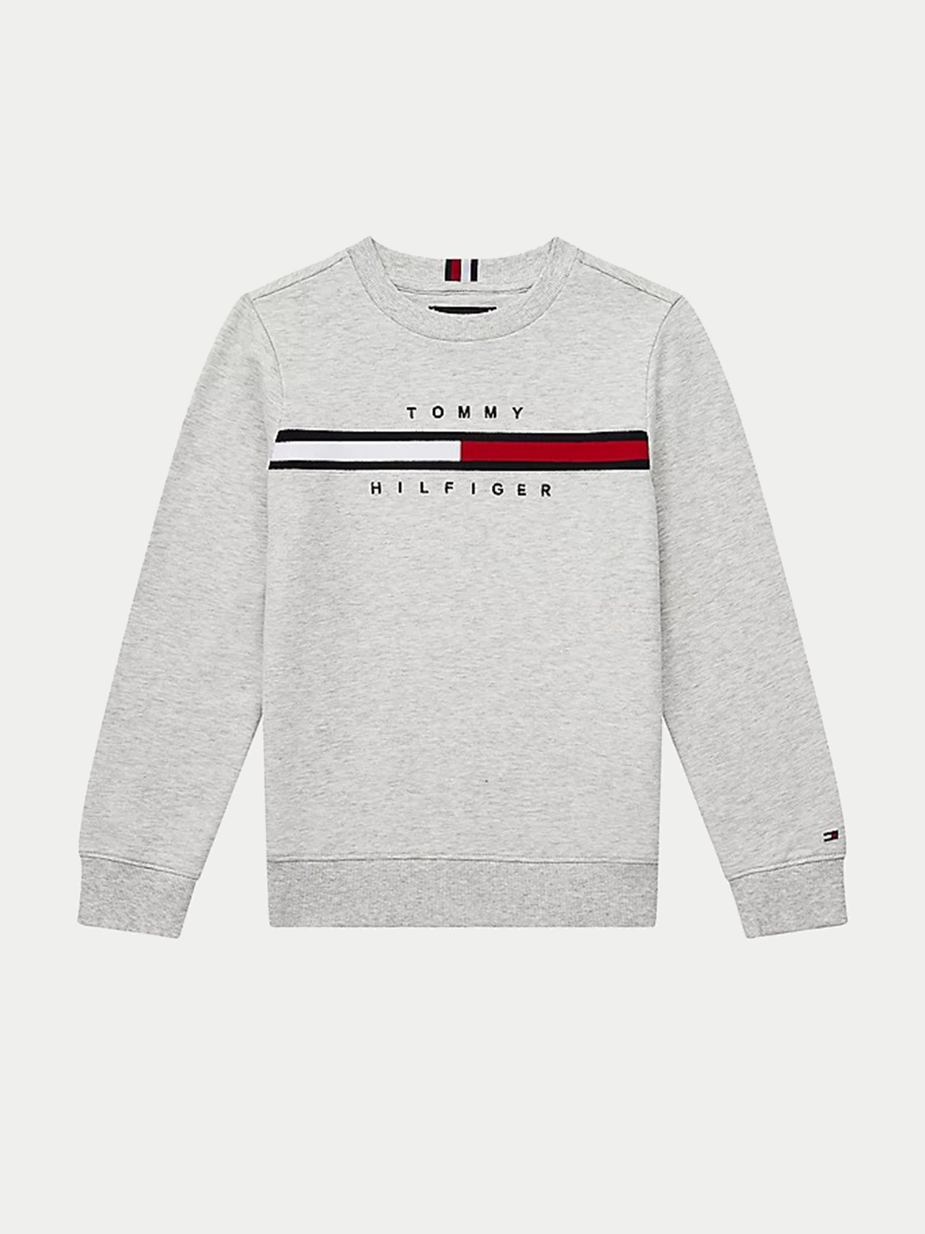 Худі та світшоти Tommy Hilfiger модель KB0KB06568-PZ1 Фото