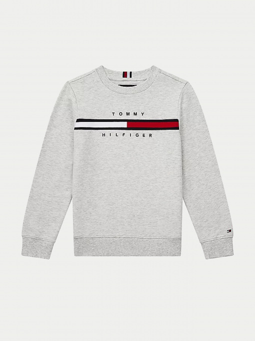 Худі та світшоти Tommy Hilfiger модель KB0KB06568-PZ1 Фото
