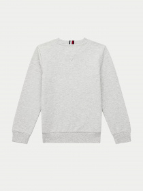 Худі та світшоти Tommy Hilfiger модель KB0KB06568-PZ1 Фото