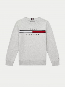 Худі та світшоти Tommy Hilfiger модель KB0KB06568-PZ1 Фото