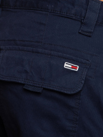 Шорти Tommy Hilfiger модель DM0DM11078-C87 Фото