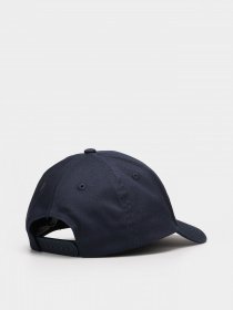 Шапки и кепки Tommy Hilfiger модель AU0AU01111-C87 Фото
