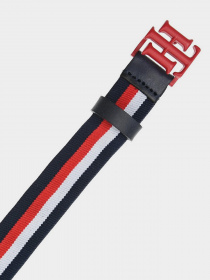 Ремни Tommy Hilfiger Mini Me Logo модель AW0AW09330-0GY Фото