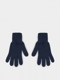 Перчатки и варежки Tommy Hilfiger Tjm Flag Gloves модель AM0AM11734-C87 Фото