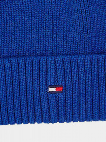 Шапки и кепки Tommy Hilfiger модель AM0AM11693-C66 Фото