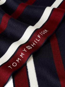 Шарфы и платки Tommy Hilfiger Corporate Raschelle модель AM0AM11493-DW6 Фото
