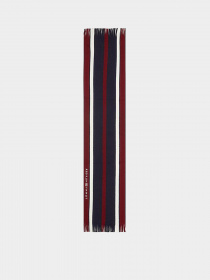 Шарфы и платки Tommy Hilfiger Corporate Raschelle модель AM0AM11493-DW6 Фото