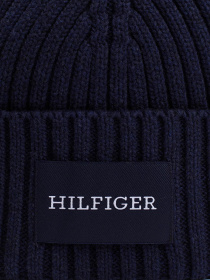 Шапки и кепки Tommy Hilfiger модель AM0AM12752-DW6 Фото