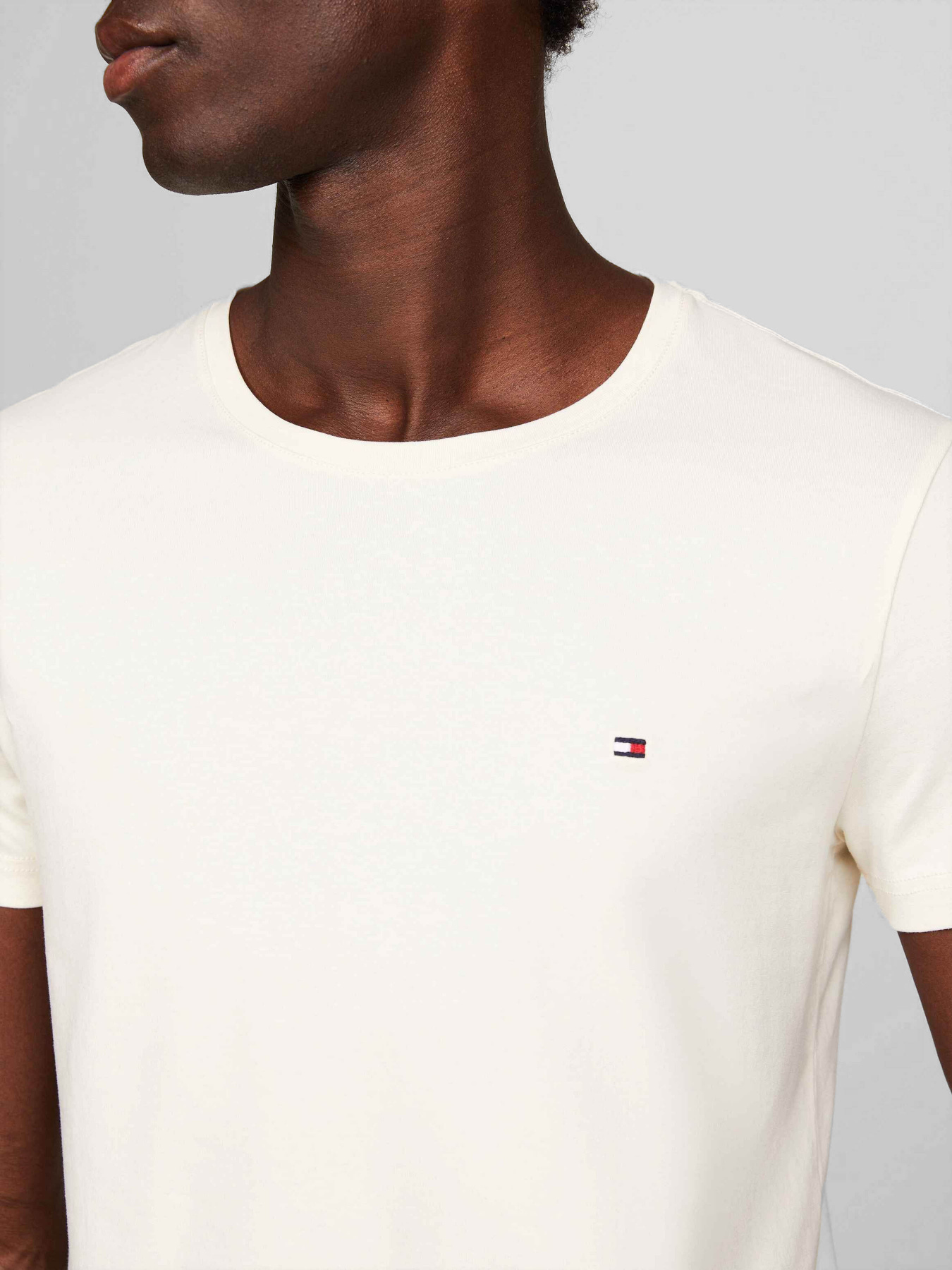 Футболки и поло Tommy Hilfiger модель MW0MW10800-AEF Футболки и поло Tommy Hilfiger модель MW0MW10800-AEF Фото